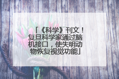 《科学》刊文！复旦科学家通过脑机接口，使失明动物恢复视觉功能