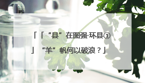 「“县”在图强·环县①」“羊”帆何以破浪？
