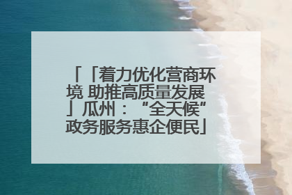「着力优化营商环境 助推高质量发展」瓜州：“全天候”政务服务惠企便民