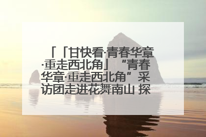 「甘快看·青春华章·重走西北角」“青春华章·重走西北角”采访团走进花舞南山 探寻天水乡村振兴之路