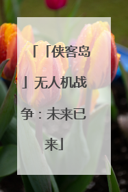「侠客岛」无人机战争：未来已来