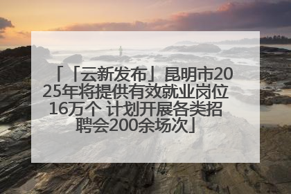 「云新发布」昆明市2025年将提供有效就业岗位16万个 计划开展各类招聘会200余场次