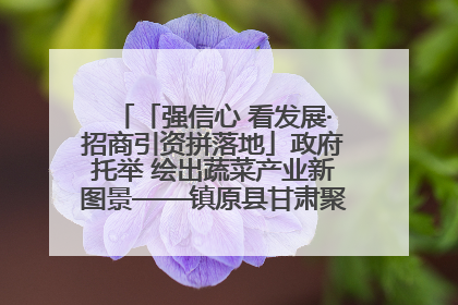 「强信心 看发展·招商引资拼落地」政府托举 绘出蔬菜产业新图景——镇原县甘肃聚广利现代设施蔬菜种植基地见闻