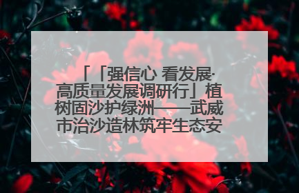「强信心 看发展·高质量发展调研行」植树固沙护绿洲——武威市治沙造林筑牢生态安全屏障见闻