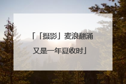 「摄影」麦浪翻涌 又是一年夏收时