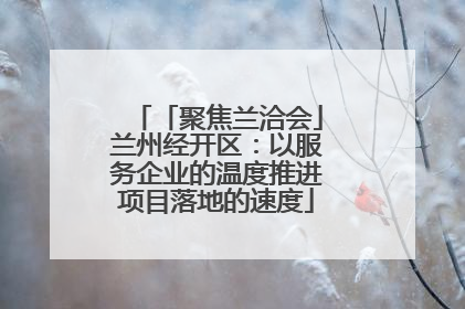 「聚焦兰洽会」兰州经开区：以服务企业的温度推进项目落地的速度