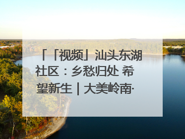 「视频」汕头东湖社区：乡愁归处 希望新生｜大美岭南·百村焕新记