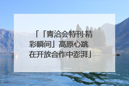 「青洽会特刊·精彩瞬间」高原心跳 在开放合作中澎湃