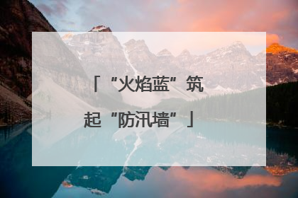 “火焰蓝”筑起“防汛墙”