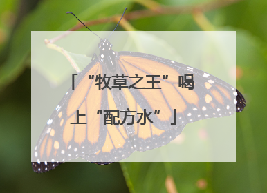 “牧草之王”喝上“配方水”