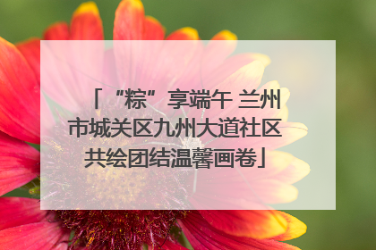 “粽”享端午 兰州市城关区九州大道社区共绘团结温馨画卷