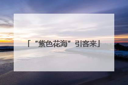 “紫色花海”引客来