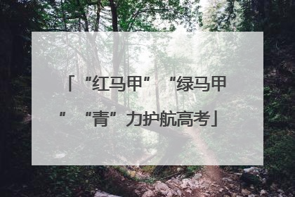 “红马甲”“绿马甲”“青”力护航高考
