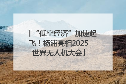 “低空经济”加速起飞！杨浦亮相2025世界无人机大会
