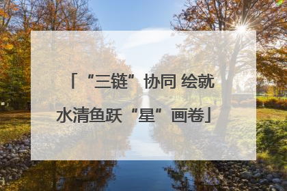 “三链”协同 绘就水清鱼跃“星”画卷
