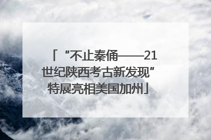 “不止秦俑——21世纪陕西考古新发现”特展亮相美国加州
