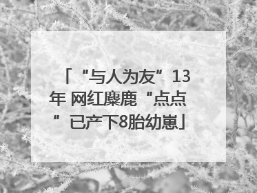 “与人为友”13年 网红麋鹿“点点”已产下8胎幼崽