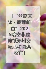 “丝路文脉・商都新章”2025哈密非遗剪纸郑州交流活动圆满收官