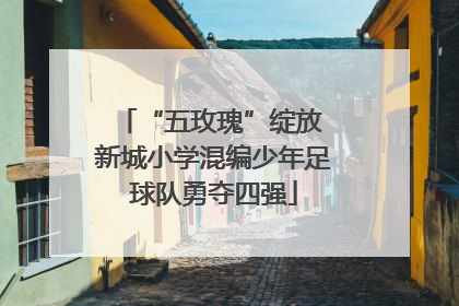“五玫瑰”绽放 新城小学混编少年足球队勇夺四强