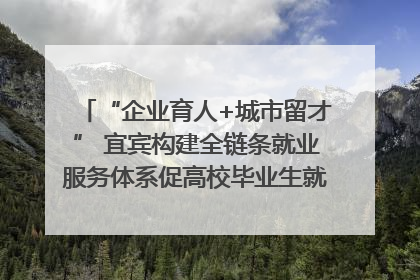 “企业育人+城市留才” 宜宾构建全链条就业服务体系促高校毕业生就业｜您牵挂的四川