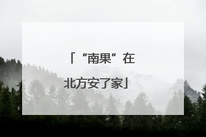 “南果”在北方安了家