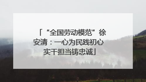 “全国劳动模范”徐安清：一心为民践初心 实干担当铸忠诚
