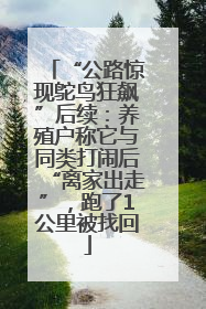 “公路惊现鸵鸟狂飙”后续：养殖户称它与同类打闹后“离家出走”，跑了1公里被找回
