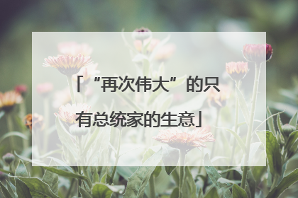 “再次伟大”的只有总统家的生意