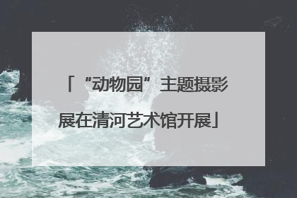 “动物园”主题摄影展在清河艺术馆开展