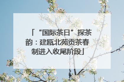 “国际茶日”探茶韵：建瓯北苑贡茶春制进入收尾阶段