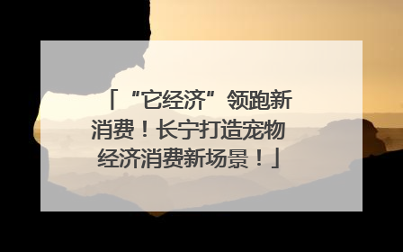 “它经济”领跑新消费！长宁打造宠物经济消费新场景！