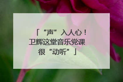 “声”入人心！卫辉这堂音乐党课很“动听”