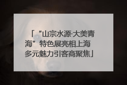 “山宗水源·大美青海”特色展亮相上海 多元魅力引客商聚焦