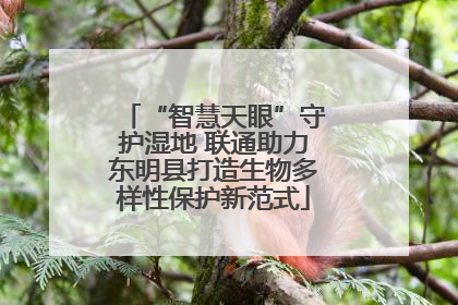 “智慧天眼”守护湿地 联通助力东明县打造生物多样性保护新范式