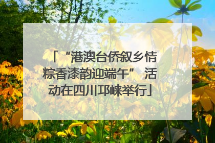 “港澳台侨叙乡情 粽香漆韵迎端午” 活动在四川邛崃举行