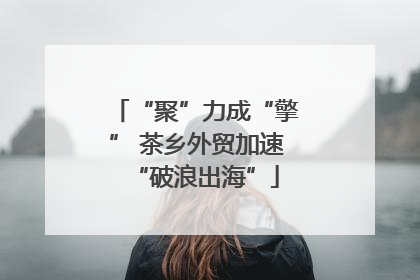 “聚”力成“擎” 茶乡外贸加速“破浪出海”
