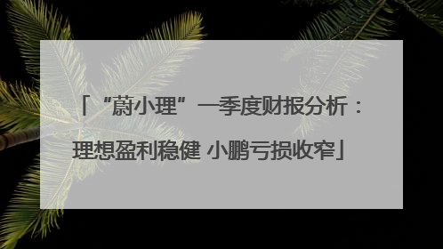 “蔚小理”一季度财报分析：理想盈利稳健 小鹏亏损收窄