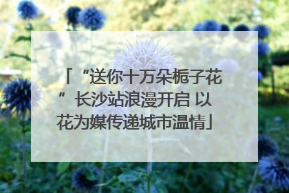 “送你十万朵栀子花”长沙站浪漫开启 以花为媒传递城市温情