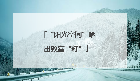 “阳光空间”晒出致富“籽”