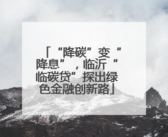 “降碳”变“降息”，临沂“临碳贷”探出绿色金融创新路