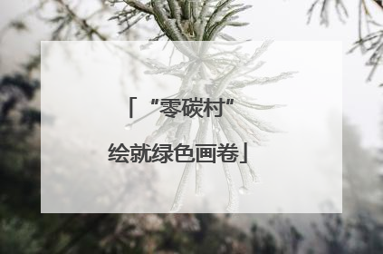 “零碳村” 绘就绿色画卷