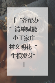 “齐帮办”清单赋能 小王家庄村文明花“生根发芽”