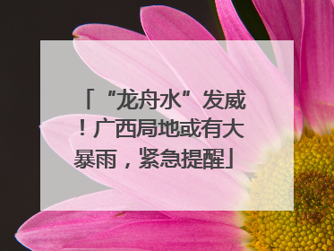 “龙舟水”发威！广西局地或有大暴雨，紧急提醒
