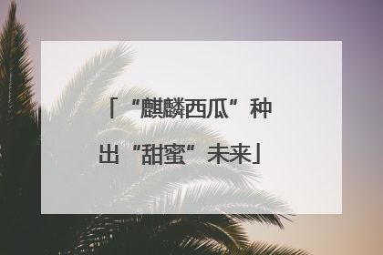 “麒麟西瓜”种出“甜蜜”未来