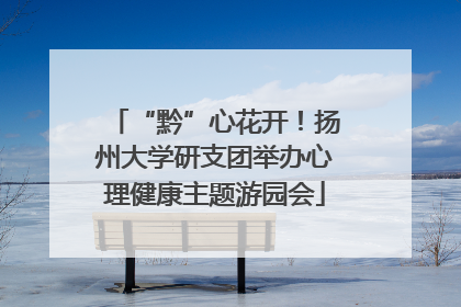 “黔”心花开！扬州大学研支团举办心理健康主题游园会
