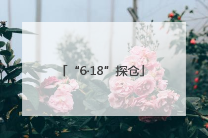 “6·18”探仓
