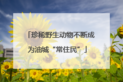 珍稀野生动物不断成为油城“常住民”