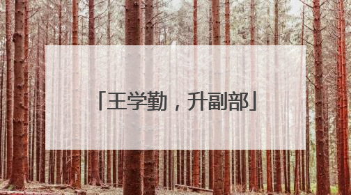 王学勤，升副部