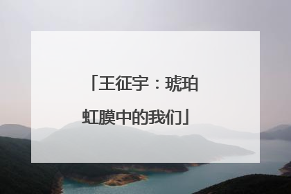 王征宇：琥珀虹膜中的我们