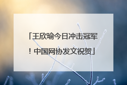 王欣瑜今日冲击冠军！中国网协发文祝贺